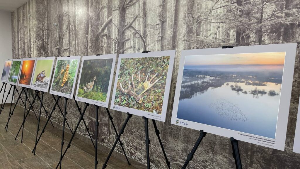 photo_5210968479350066678_y