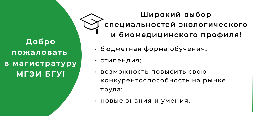 магистатура магистатура