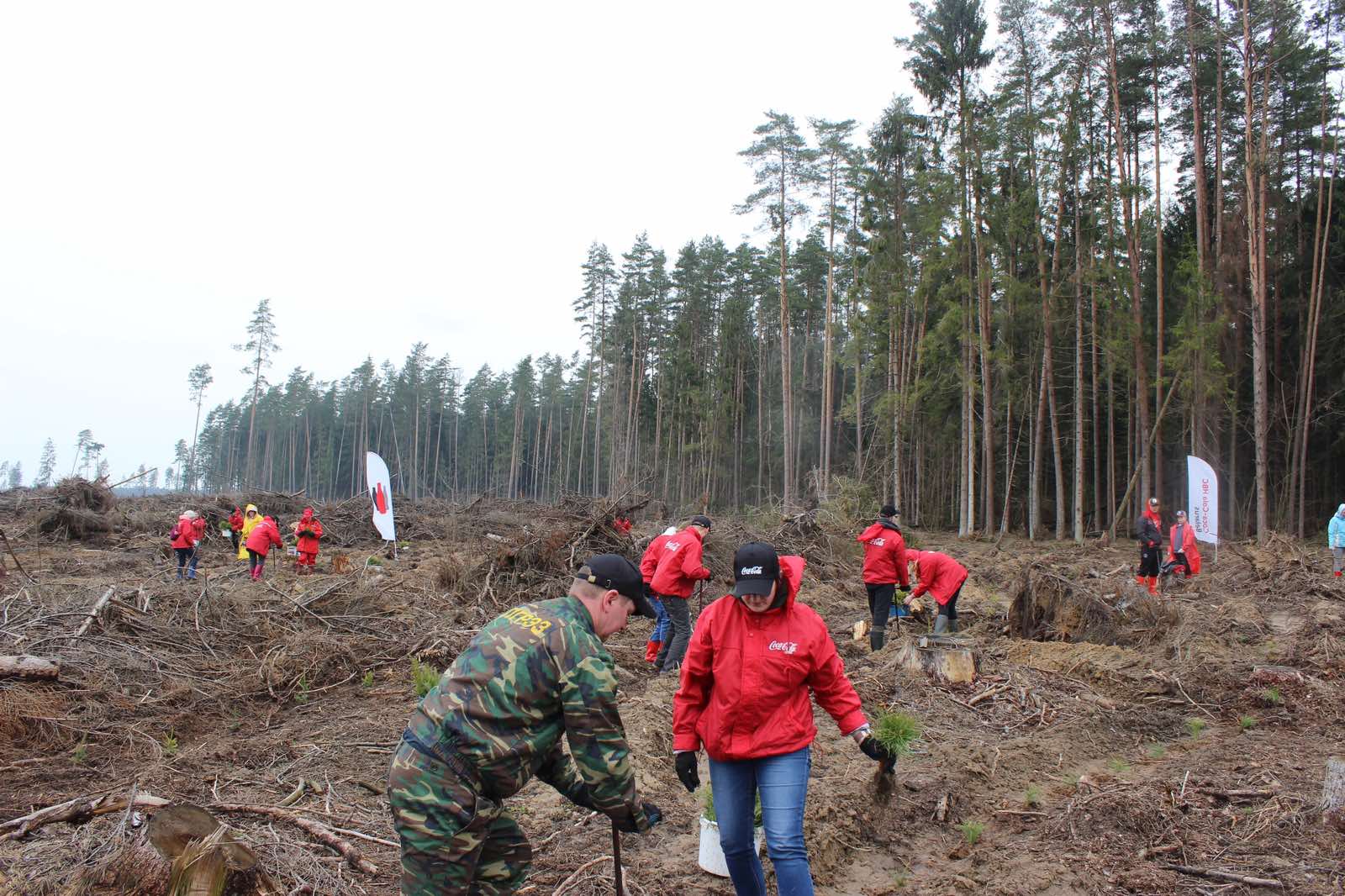 Всемирные экологические акции. Чистка куземетьевского леса 2023. Чистка куземетьевского леса 2023. Команда в лесу. Живи лес 2023.
