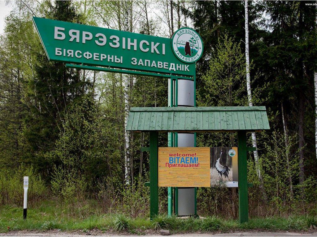 photo_5210968479350066673_y