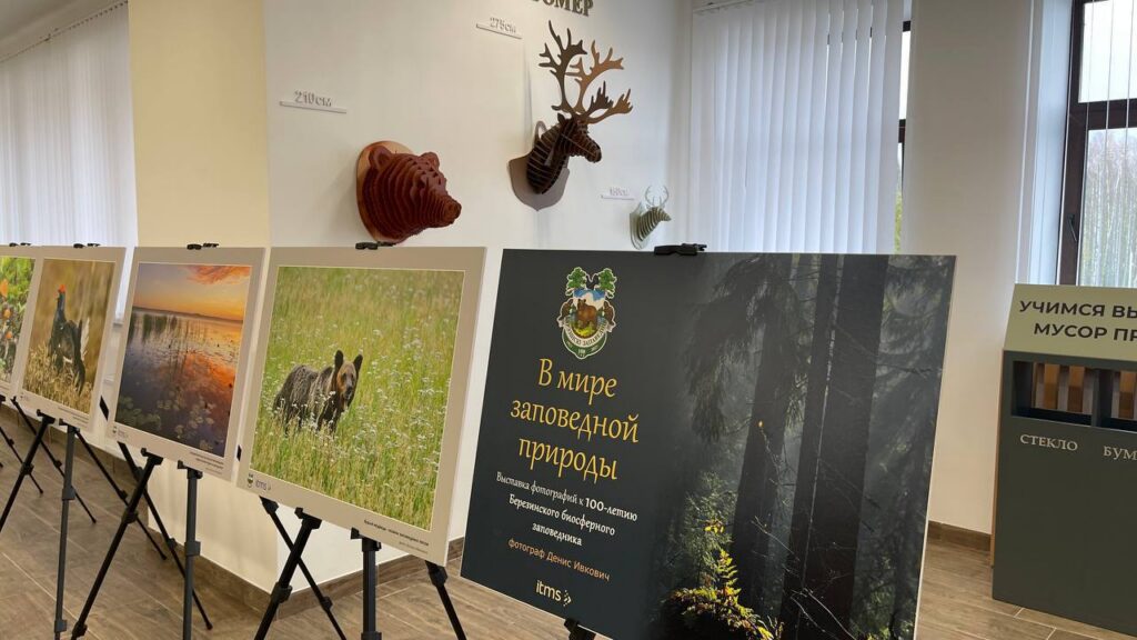 photo_5210968479350066675_y