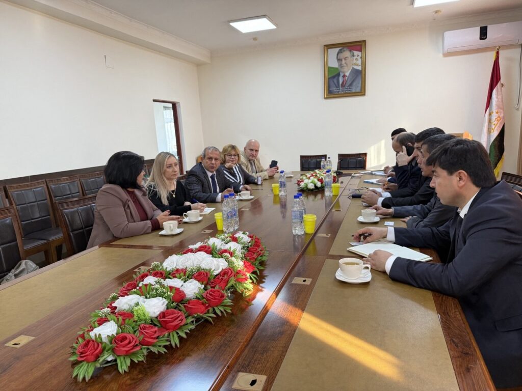 photo_5276029266720132881_y